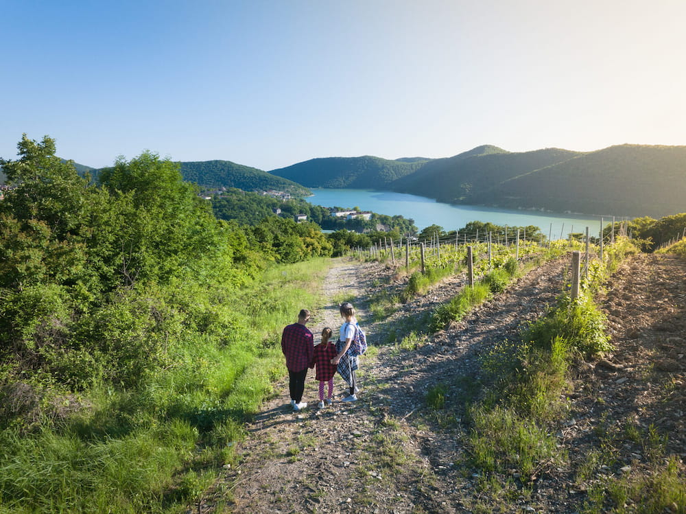Пеший тур по смотровым площадкам
