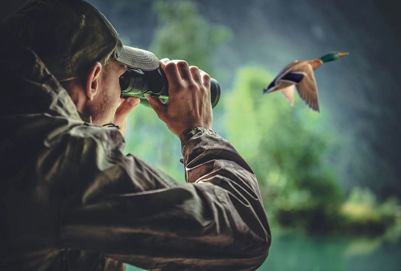 Бердвотчинг