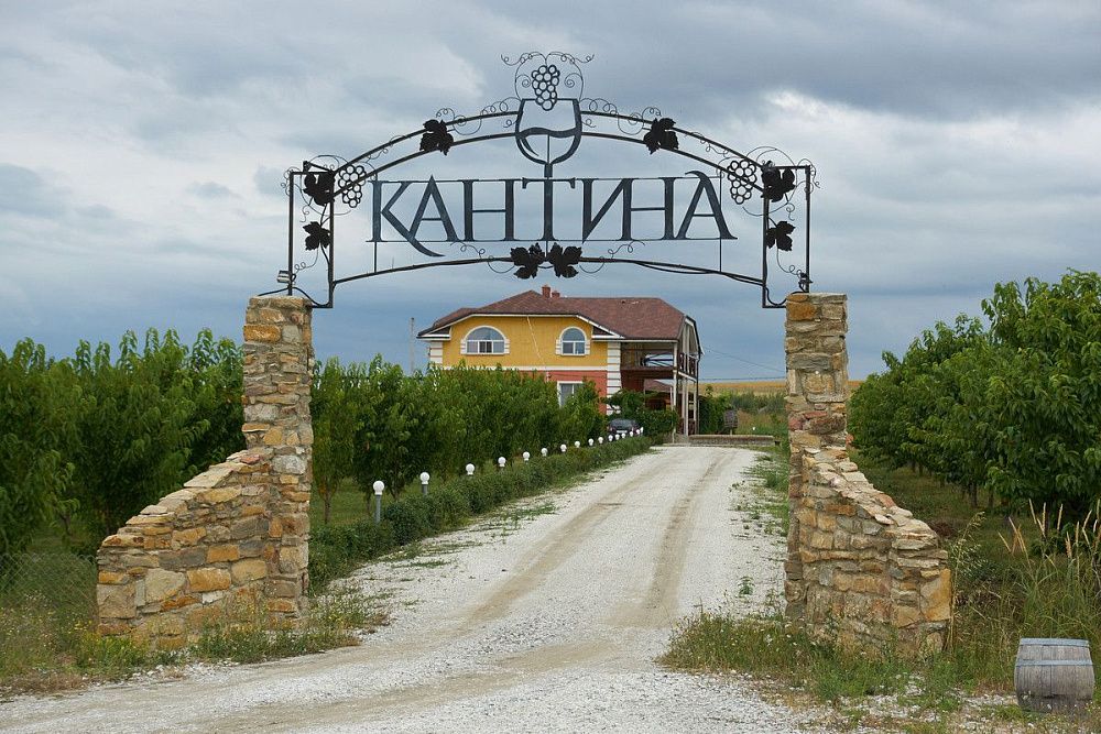 Винодельческое хозяйство «Кантина»