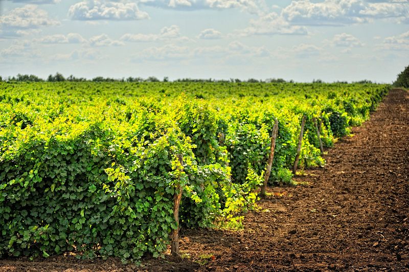 «ВВЪ» — Индивидуальная экскурсия