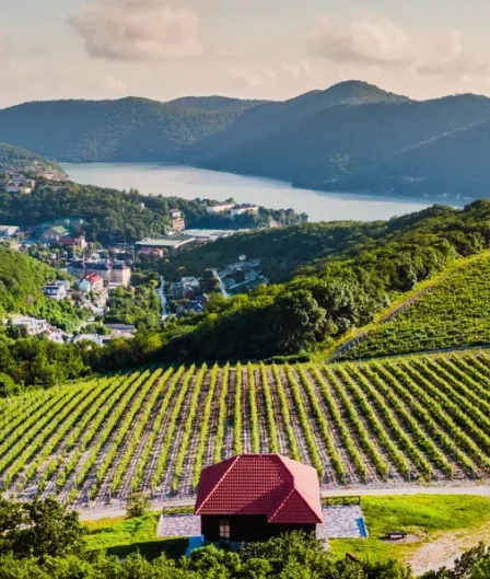 Ближнее Шато