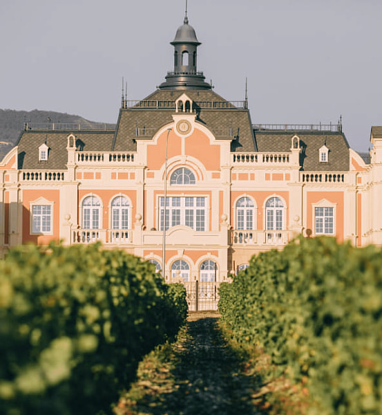 Винные дороги