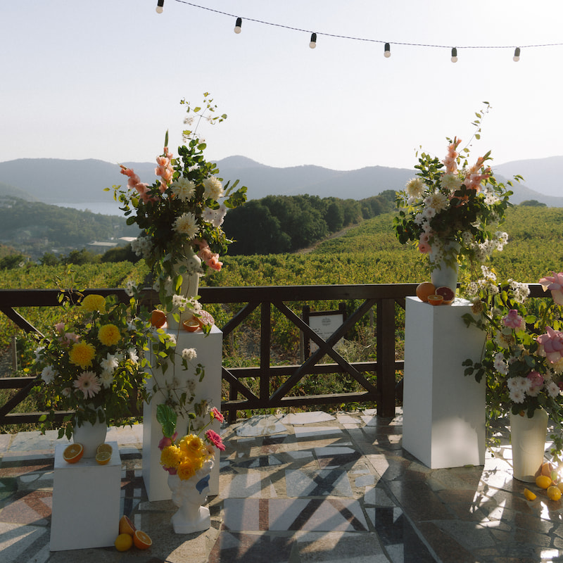 Домик виноградоря