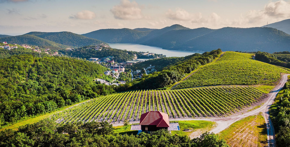 Курорт Абрау-Дюрсо принял этап Гран-При России по петанку-2025